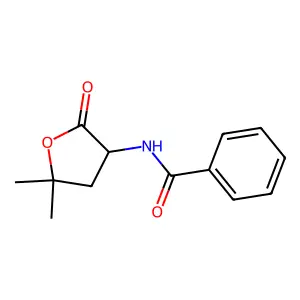 Benzamide, N-(5,5-dimethyl-2-oxotetrahydro-3-furyl)- structure