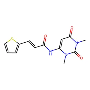 (E)-N-(1,3-dimethyl-2,6-dioxopyrimidin-4-yl)-3-thiophen-2-ylprop-2-enamide structure