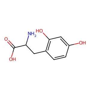 2,4-Dihydroxyphenylalanine structure