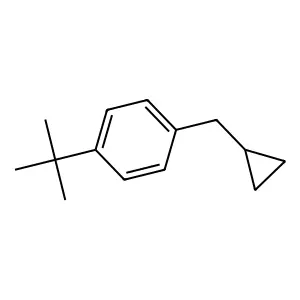 1-tert-Butyl-4-(cyclopropylmethyl)benzene structure