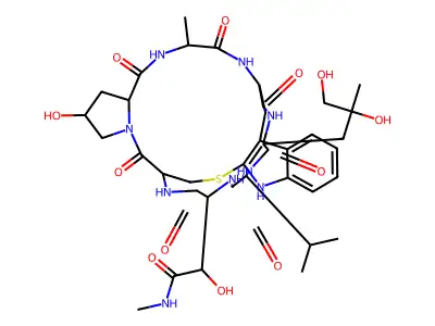 Phallacidinmethylamide structure
