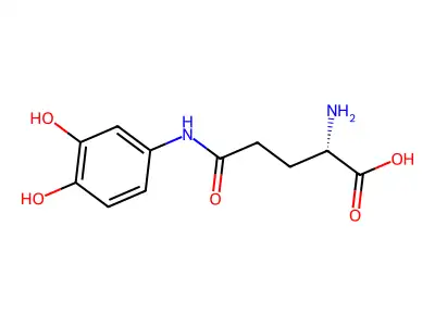 (2S)-5-amino-2-(3,4-dihydroxyanilino)-5-oxopentanoic acid structure