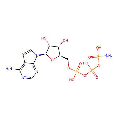 ATP-gamma amidate structure