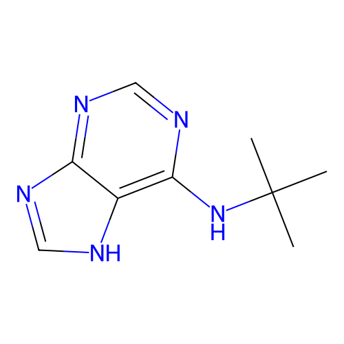 N-tert-butyl-7H-purin-6-amine structure