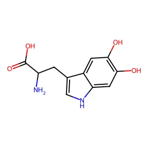 5,6-Dihydroxytryptophan structure