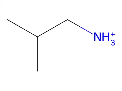 Isobutylammonium structure