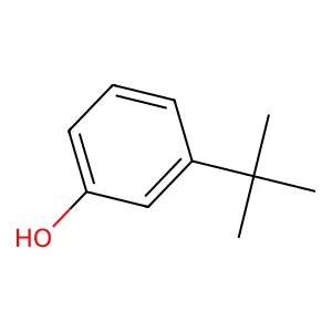 Phenol, 3-(1,1-dimethylethyl)- structure