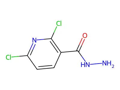 2,6-Dichloropyridine-3-carbohydrazide structure