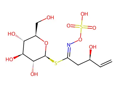 原告依春 structure