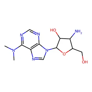 Ardma structure
