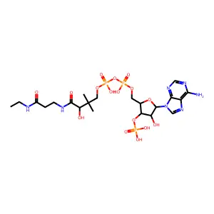 脱硫辅酶A structure