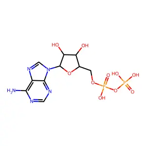 二磷酸腺苷 structure