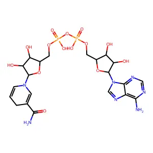 b-dpnh structure