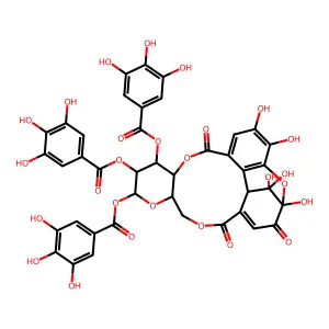 Isoterchebin structure