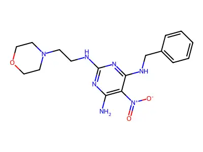 4-N-benzyl-2-N-(2-morpholin-4-ylethyl)-5-nitropyrimidine-2,4,6-triamine structure