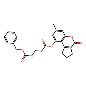 EiM07-19931 structure