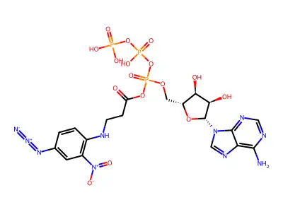 Anapp3 structure