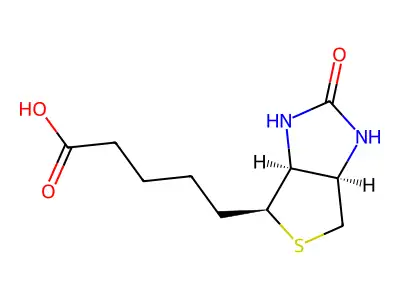 生物素 structure