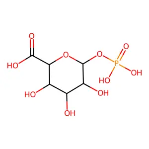 1-phospho-alpha-D-galacturonate structure