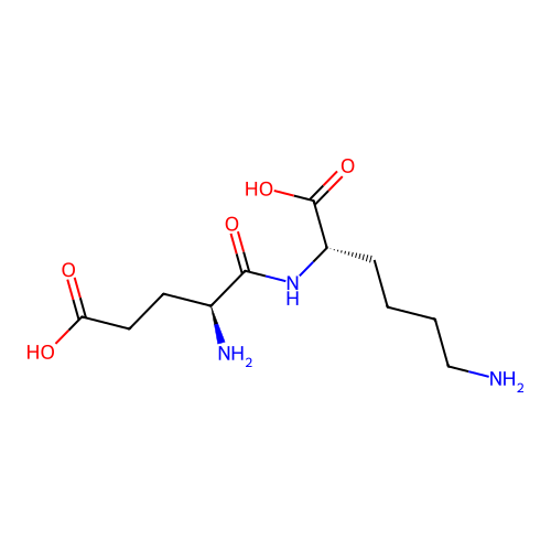 Glu-Lys structure