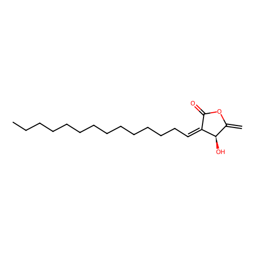 Obtusilactone A structure