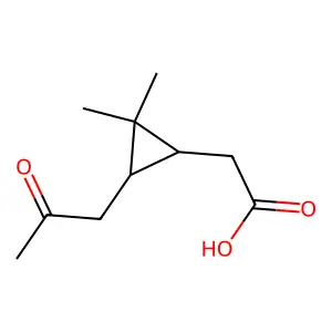 (1R,3S)-2,2-Dimethyl-3-(2-oxopropyl)-cyclopropaneacetic acid structure