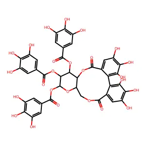 大饰缘花苷 II structure