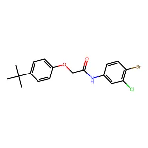 N-(4-bromo-3-chlorophenyl)-2-(4-tert-butylphenoxy)acetamide structure