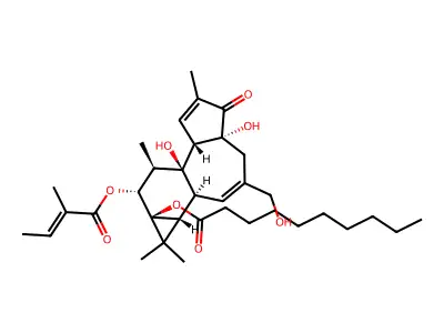 Phorbol caprate, tiglate structure