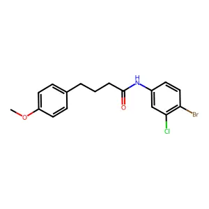 N-(4-bromo-3-chlorophenyl)-4-(4-methoxyphenyl)butanamide structure