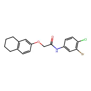 N-(3-bromo-4-chlorophenyl)-2-(5,6,7,8-tetrahydronaphthalen-2-yloxy)acetamide structure