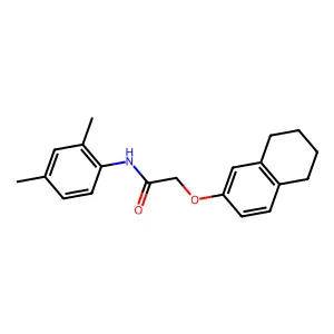 N-(2,4-dimethylphenyl)-2-(5,6,7,8-tetrahydronaphthalen-2-yloxy)acetamide structure