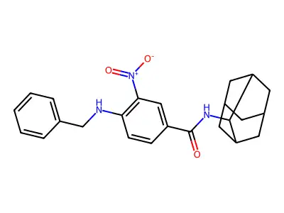 N-(2-adamantyl)-4-(benzylamino)-3-nitrobenzamide structure