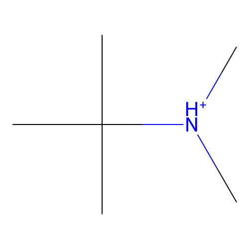 Tert-butyl(dimethyl)azanium structure