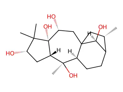 16-Deoxygrayanotoxin III structure