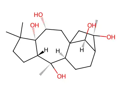 Grayanotoxane-5,6,10,14,16-pentol structure