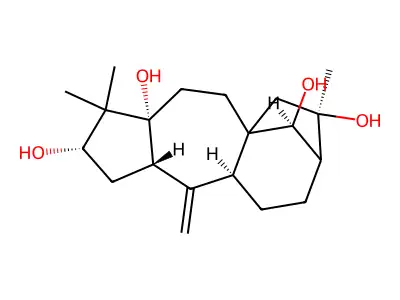 Grayanotox-10-ene-3,5,14,16-tetrol structure