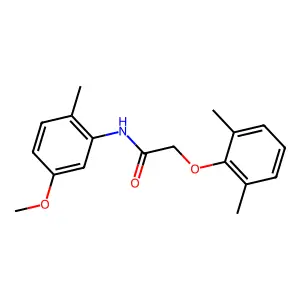 2-(2,6-dimethylphenoxy)-N-(5-methoxy-2-methylphenyl)acetamide structure