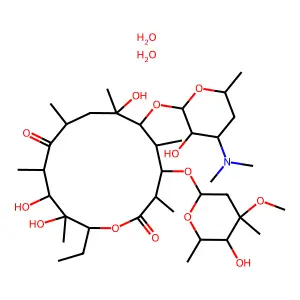 Erythromycin dihydrate structure