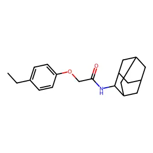 N-(2-adamantyl)-2-(4-ethylphenoxy)acetamide structure