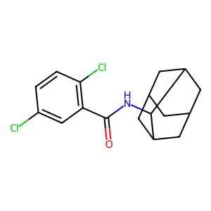 N-(2-adamantyl)-2,5-dichlorobenzamide structure