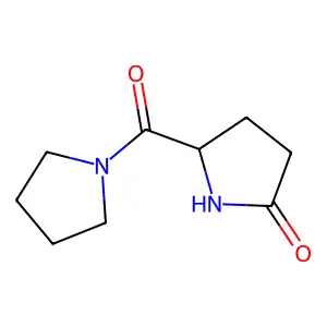 5-(Pyrrolidine-1-carbonyl)pyrrolidin-2-one structure