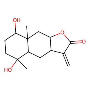 Microcephalin structure