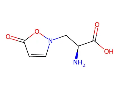3-(5-oxoisoxazolin-2-yl)-L-alanine structure