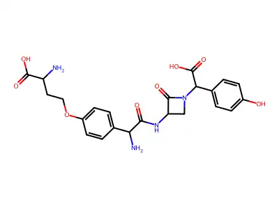 Nocardicin C structure