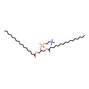 1,3-Dipalmitoyl-2-phosphatidylcholine structure