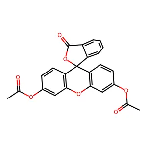 Fluorescein, diacetate structure