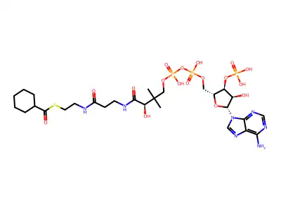 Cyclohexanoyl CoA;Cyclohexanecarboxyl-CoA structure