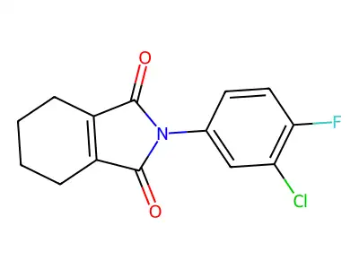 1H-Isoindole-1,3(2H)-dione, 2-(3-chloro-4-fluorophenyl)-4,5,6,7-tetrahydro- structure