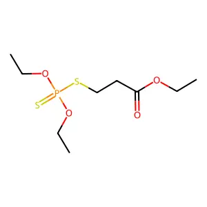 Prothion structure